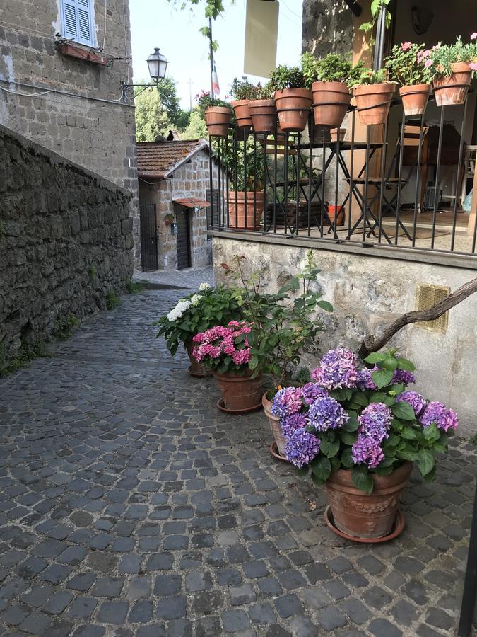 Вилла Renaissance Boutique House Рончильоне Экстерьер фото